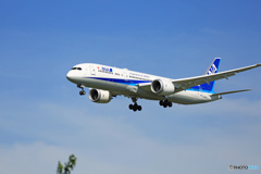 到着 ANA  [787-9 ] JA875A