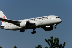 到着　JAL 787-8 