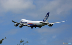 飛び立ちNCA 747-8KZF JA16KZ/ジャンボ保存委員会