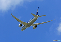 ☀ ANA 787-8 JA829A 飛び立ち 