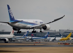 ANA 787-8 到着