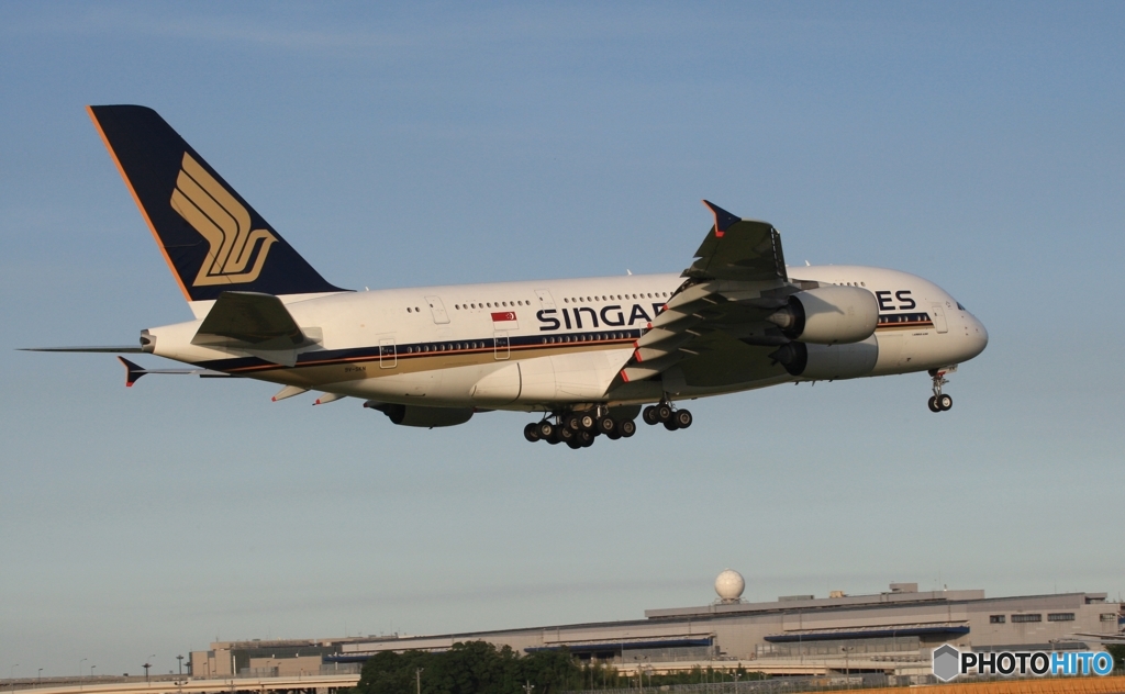 SINGAPORE A380-841 着陸　