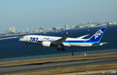 ☮ 窓越しの撮影は難しいです ☮