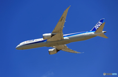 「良い空～」 ANA 787-9 JA837A離陸
