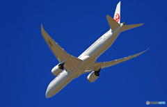 「空色」 JAL 787-9 JA865J☀