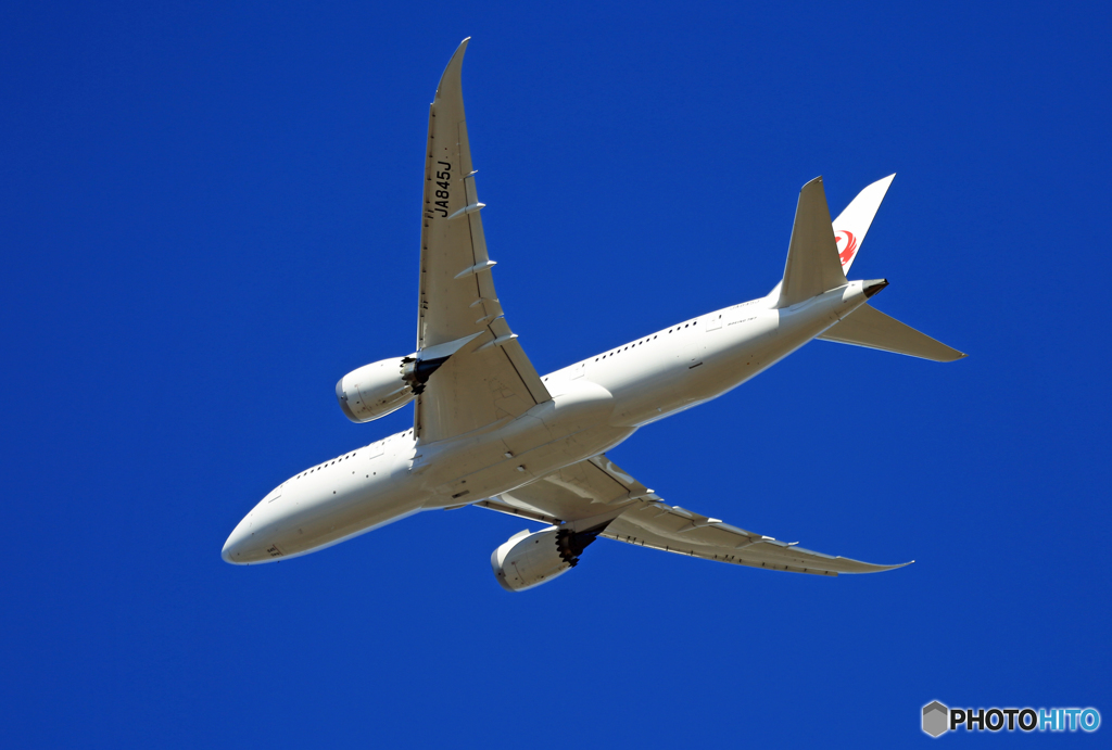 「ぶるー」 JAL 787-8 JA845J