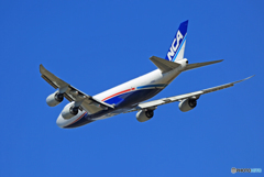 「良い天気」 NCA 747-8KZF JA16KZ Takeoff  「良い天気」 NCA 747-8KZF JA16KZ Takeoff