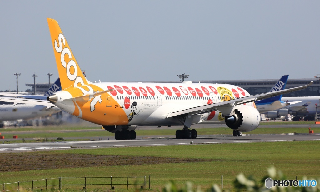☮scoot 787-9 9V-OJE