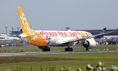 ☮scoot 787-9 9V-OJE