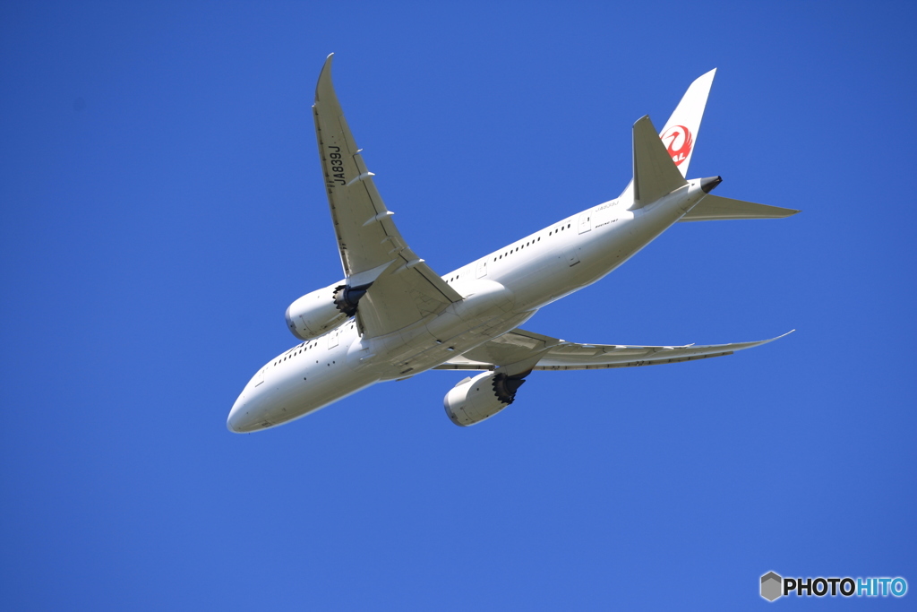 「ぶるー」 JAL 787-8 JA839J飛び立ち 