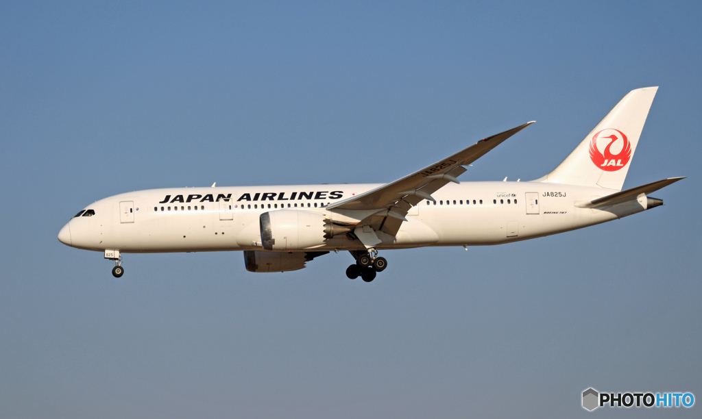 到着 JAL 787-8 JA825J