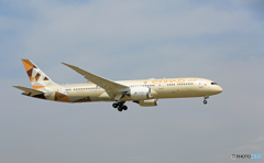 「良い天気」 ETIHAD 787-9 A6-BLK 着陸  「良い天気」 ETIHAD 787-9 A6-BLK 着陸