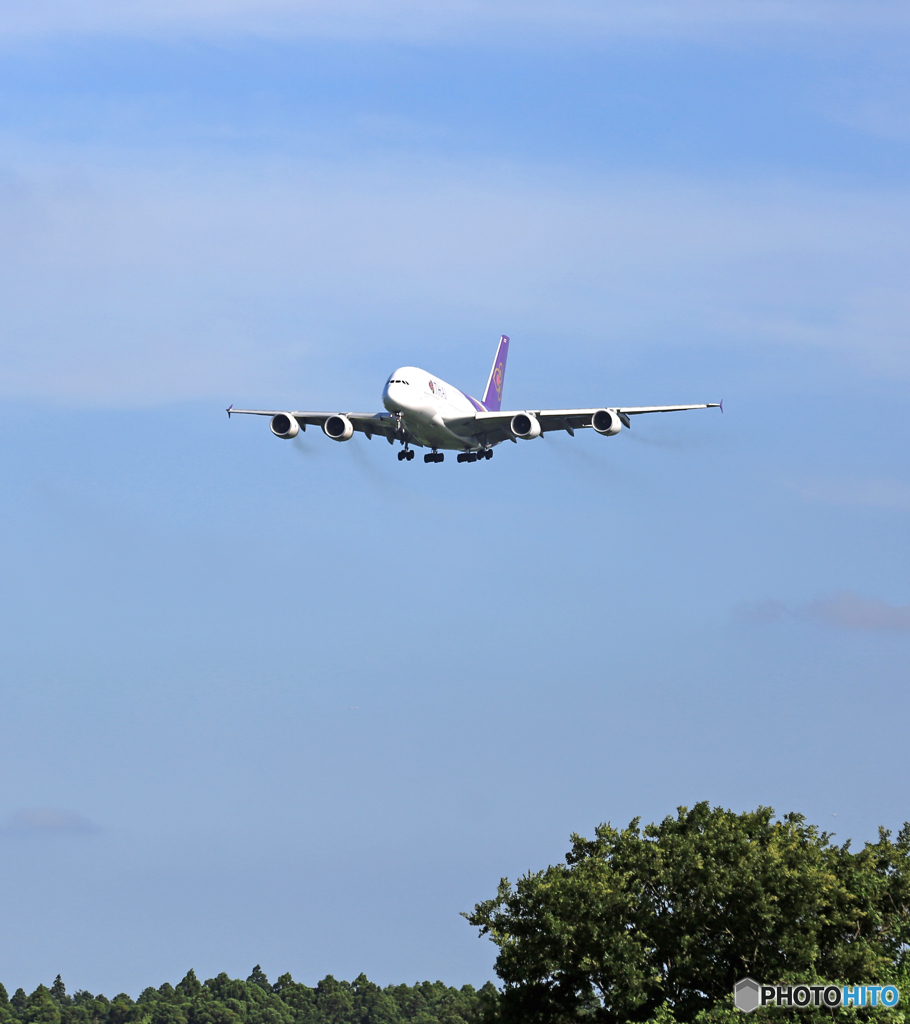 到着 THAI A380-841 HS-TUB
