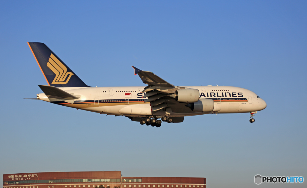 到着 Singapore A380-841 9V-SKN