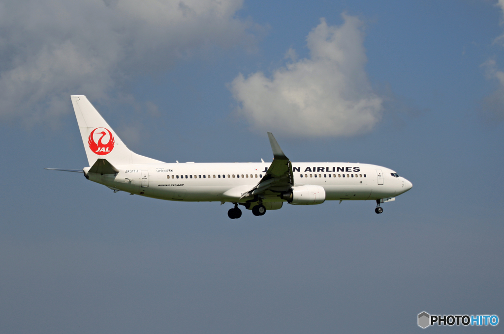 到着 JAL 737-800 JA317J
