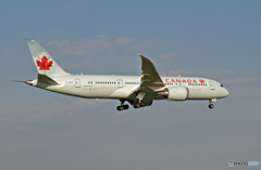 到着　AIR CANADA 787-8 C-GHPU
