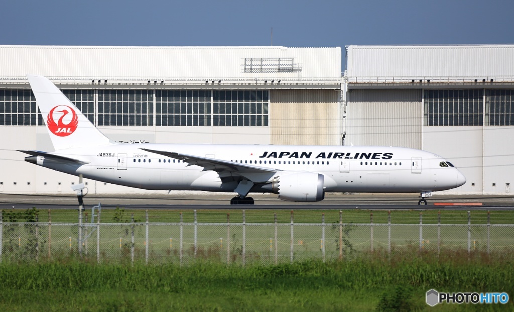 離陸　JAL 787-8 