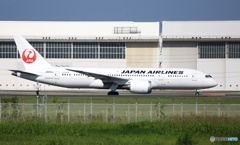 離陸　JAL 787-8 