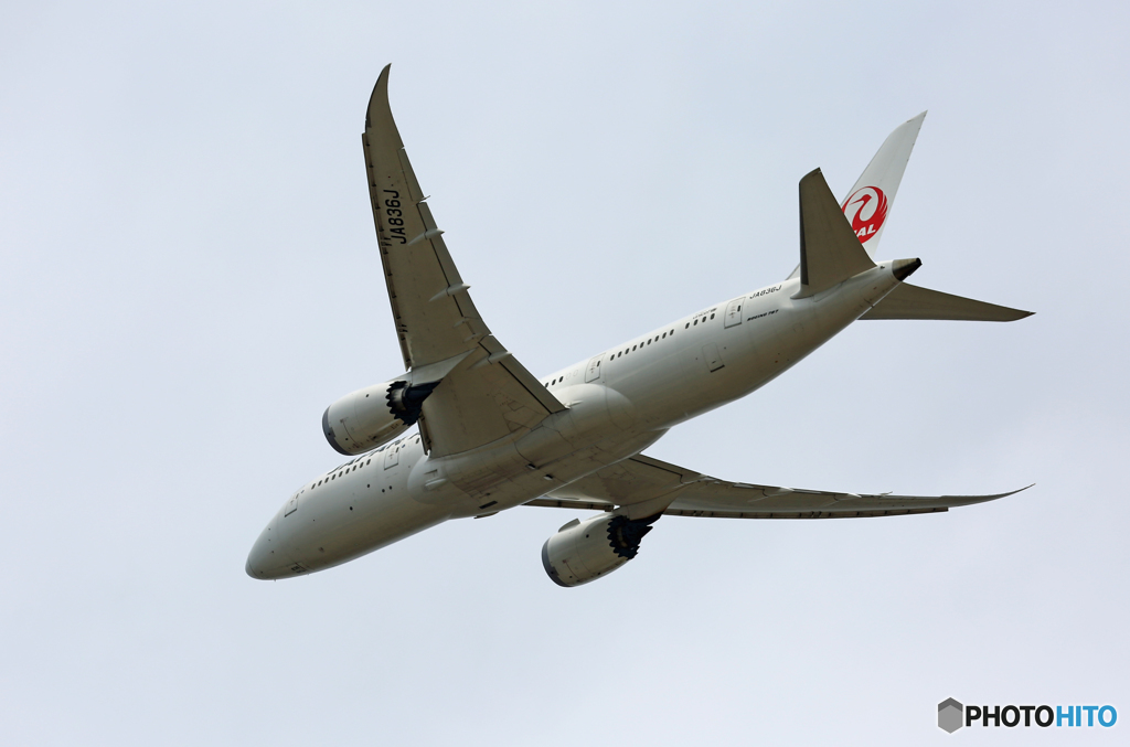 「SKY」 JAL 787-8 JA836J 飛び立ち