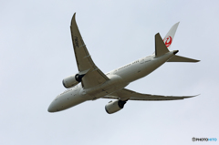 「SKY」 JAL 787-8 JA836J 飛び立ち 「SKY」 JAL 787-8 JA836J 飛び立ち