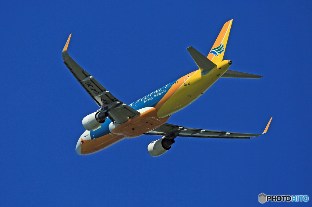 [青い空]　CEBU A320-214 RP-C4100