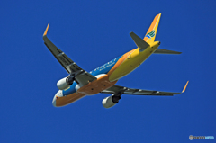 [青い空]　CEBU A320-214 RP-C4100