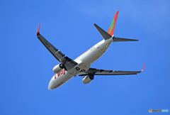 ☀t'way 737-8Q8 HL8067 出発
