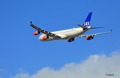 飛び立ち  SAS A340-313 LN-RKF