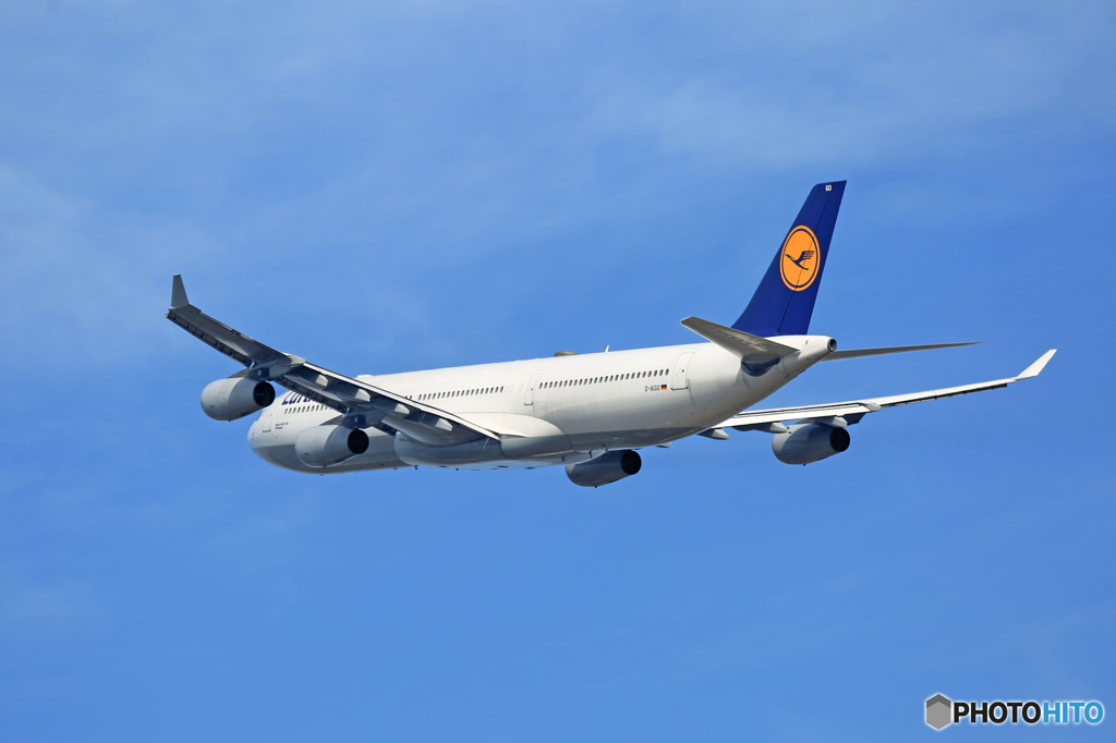 飛び立ち Lufthansa A340-313 D-AIGO