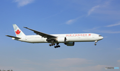 [青い空]　到着 Air Canada 