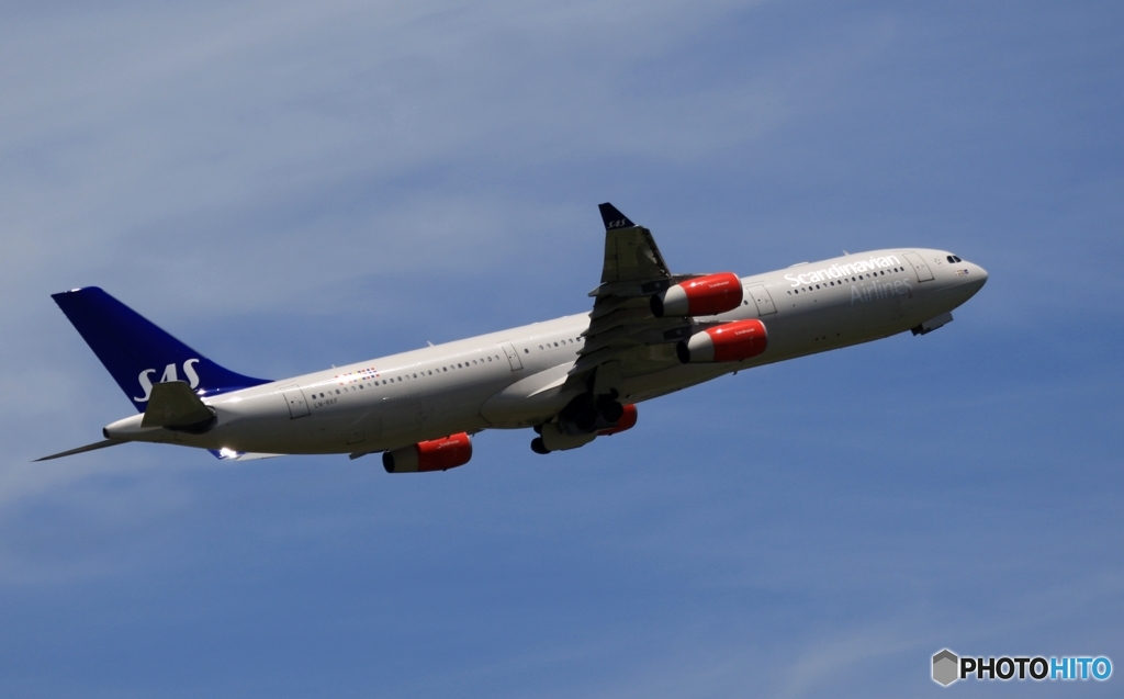 飛行　SAS A340-313