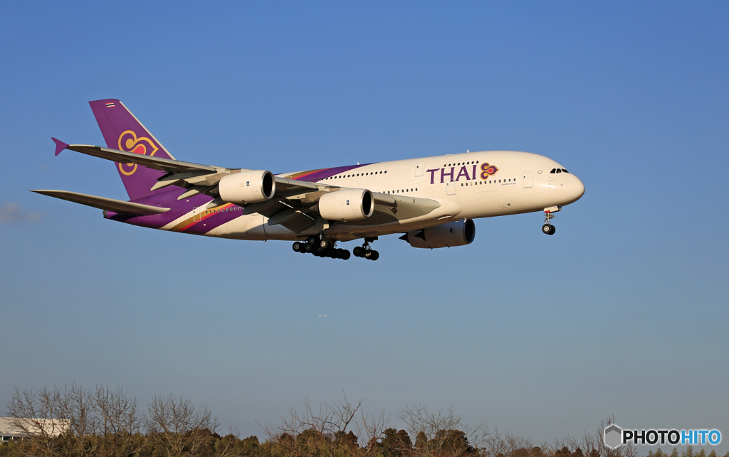 Ohデカい！Thai A380-841 ⑥番機 HS-TUF