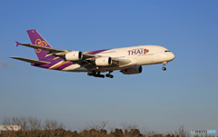 Ohデカい！Thai A380-841 ⑥番機 HS-TUF
