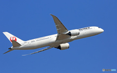 飛び立ち「青空」　JAL 787-9 JA861J