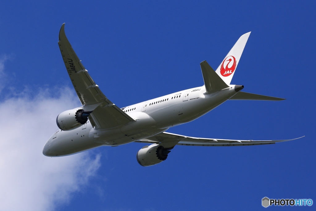✈JAL 787-8 JA841J