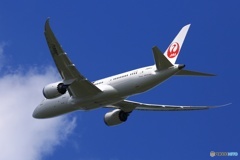 ✈JAL 787-8 JA841J