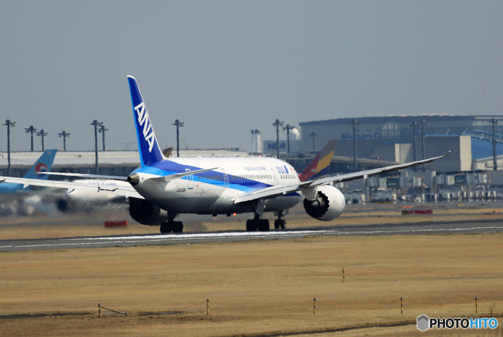 「青空」 ANA 787-8 JA839A 離陸