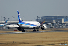 「青空」 ANA 787-8 JA839A 離陸