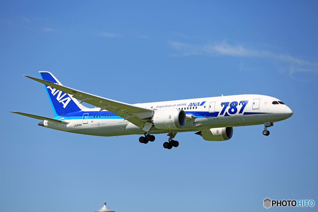 ANA 787-8 JA806A 到着 