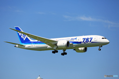 ANA 787-8 JA806A 到着 