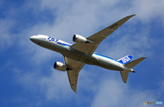 ANA 787-8 JA823A 離陸 