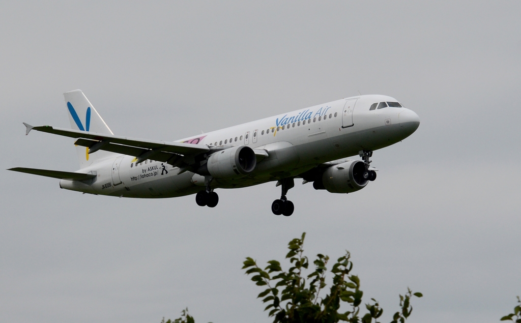 着陸（124）Vanilla Air A320-221 
