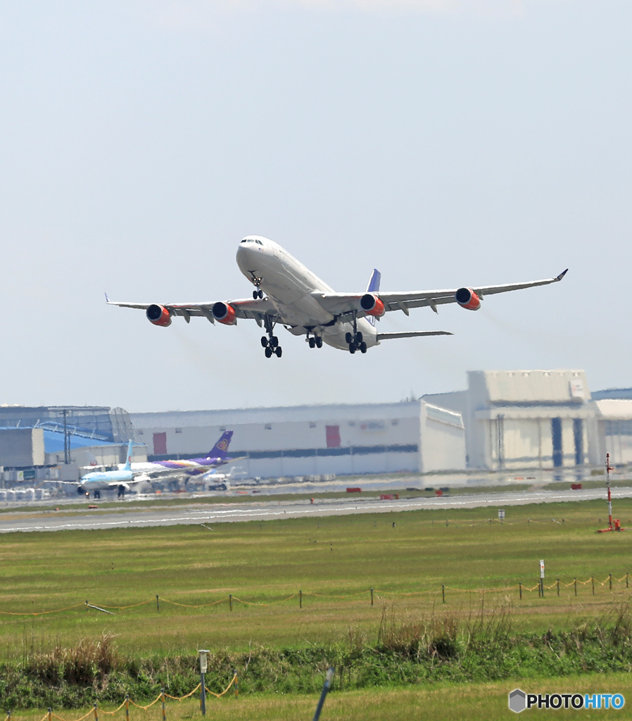 「晴れ」 SAS A340-313 LN-RKG 出発 