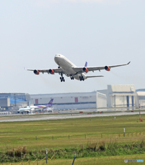 「晴れ」 SAS A340-313 LN-RKG 出発 