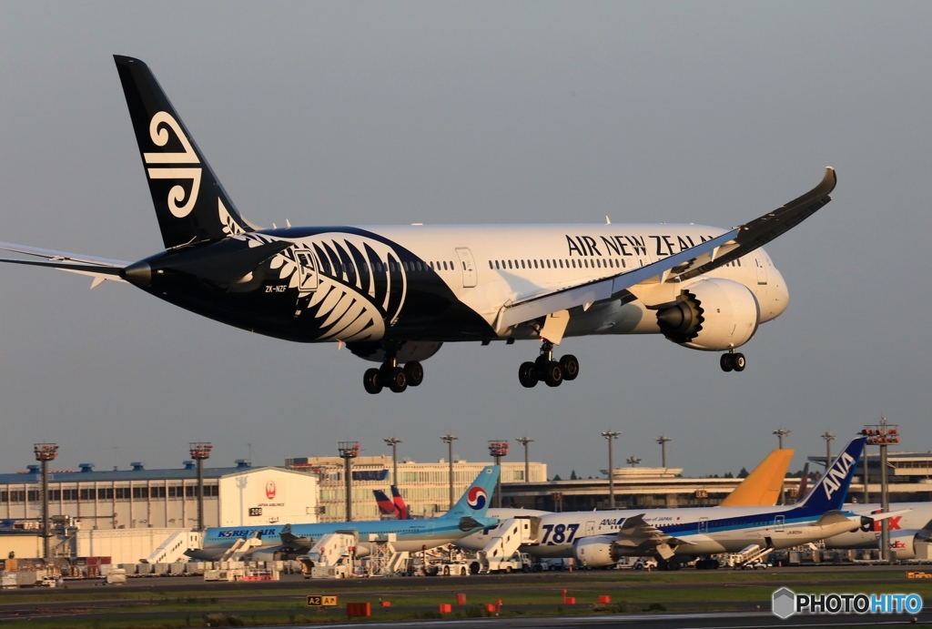 Air New Zealand 787-9 到着　