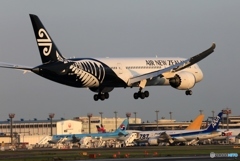 Air New Zealand 787-9 到着　