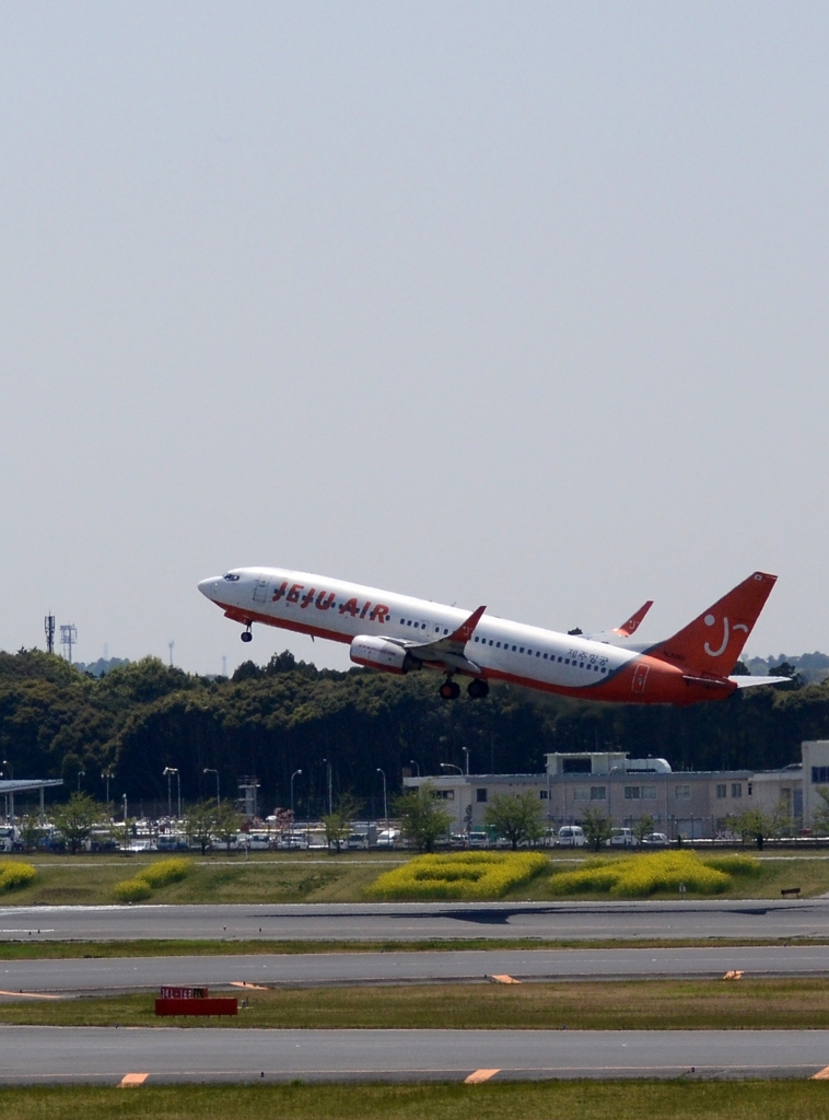 JEJU Air　(チェジュ)　 A320 