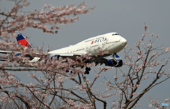 「さくら」 DELTA 747-400 N670US