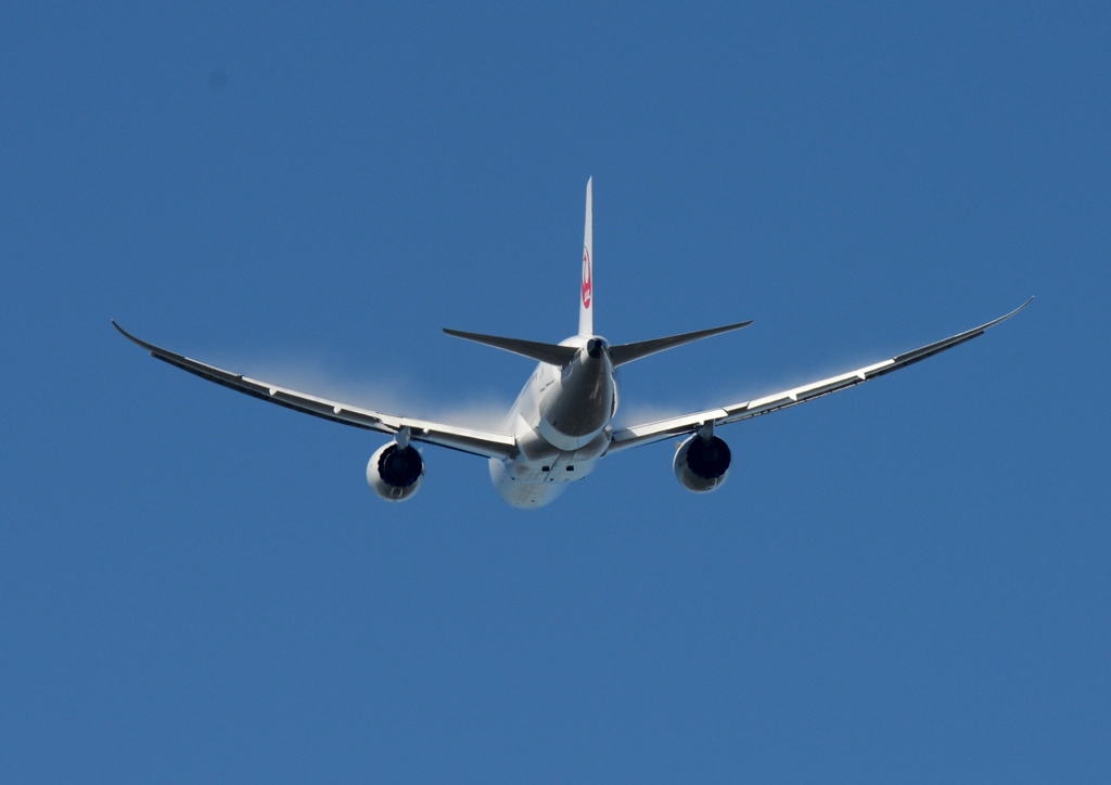 JAL 787-8
