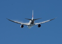 JAL 787-8